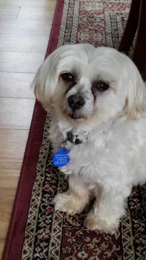 Olive House Bed and Breakfast image 1