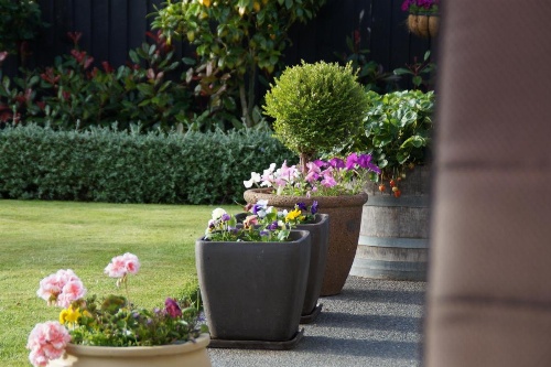 Olive House Bed and Breakfast image 37