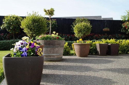 Olive House Bed and Breakfast image 42