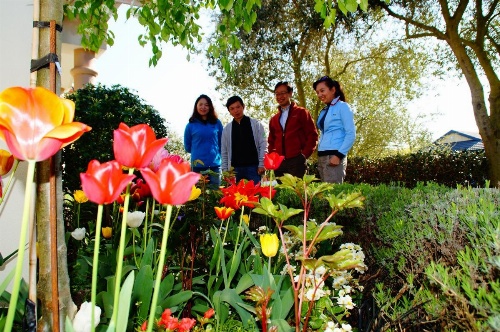 Olive House Bed and Breakfast image 5